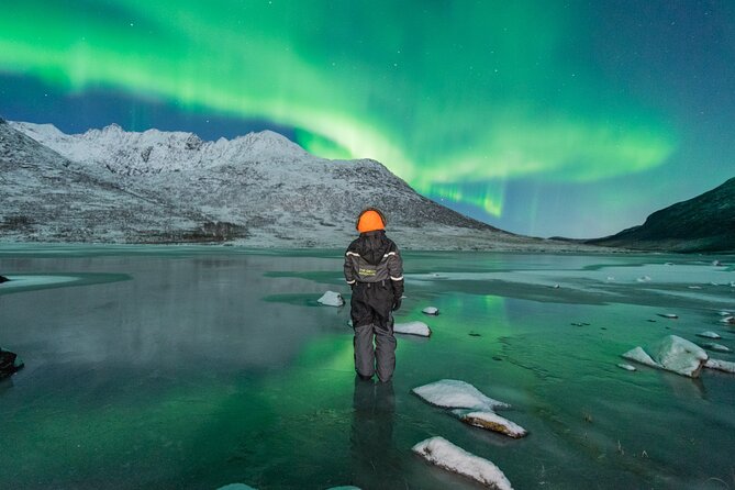 Northern Lights Hunt with The Green Adventure - photos included - Photography, from camera help to free files