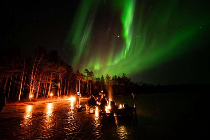 Northern Lights Hunting Expedition in Ranua, Lapland - Why this is more than waiting for the sky