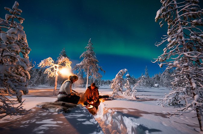 Northern Lights Hunting Expedition in Ranua, Lapland - The value of a $323.21 evening