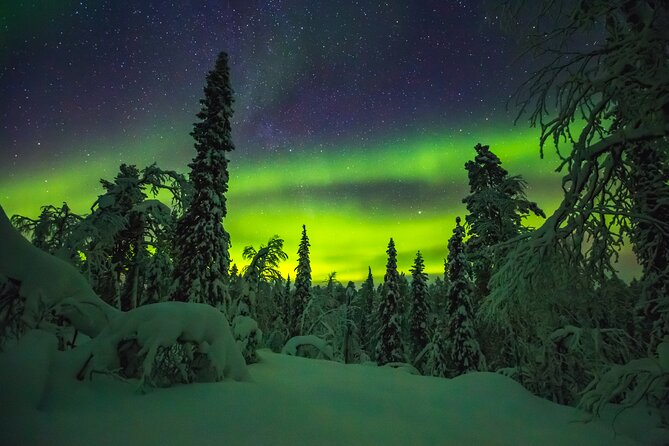 Northern Lights Hunting of Rovaniemi - Group size and the feel of the evening