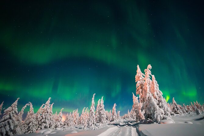 Northern Lights Hunting of Rovaniemi - Who will get the most from this outing