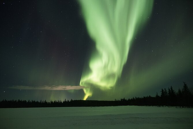 Northern Lights Hunting Photo Tour in Levi - Price and value at $146.66