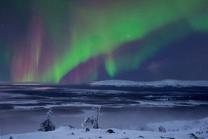 Northern Lights Hunting Photography Tour in Levi - Why This Levi Aurora Tour Keeps Moving