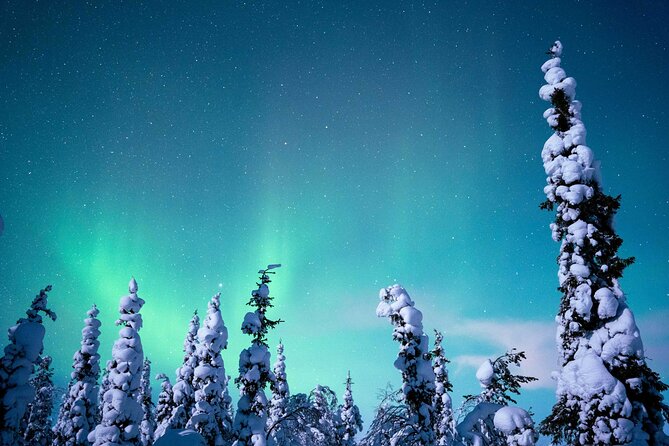 Northern Lights Hunting Photography Tour in Levi - The Risk of a Cloudy Night