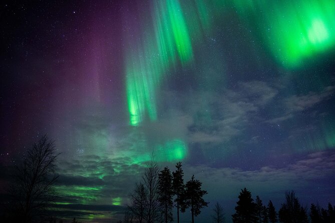 Northern Lights Hunting Photography Tour in Levi - Two or Three Stops in the Lapland Night