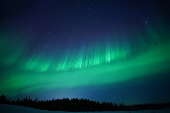 Northern Lights Hunting Photography Tour in Rovaniemi Finland - Who should book this Rovaniemi tour