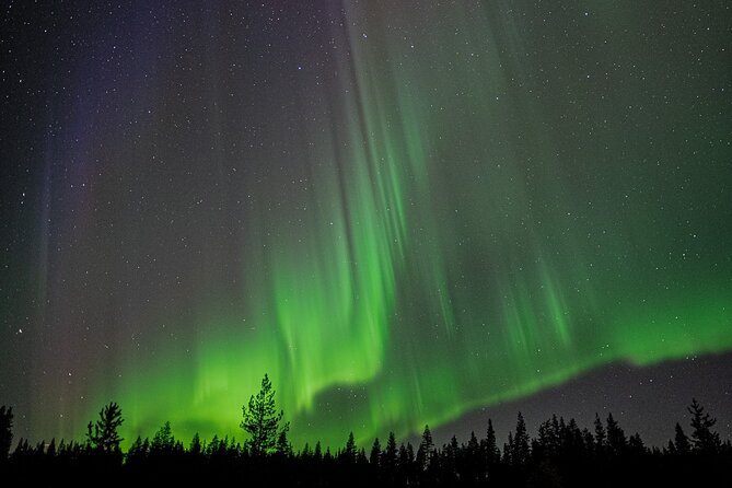 Northern Lights Hunting with a photographer (Only small groups) - Why a moving hunt makes sense in Rovaniemi