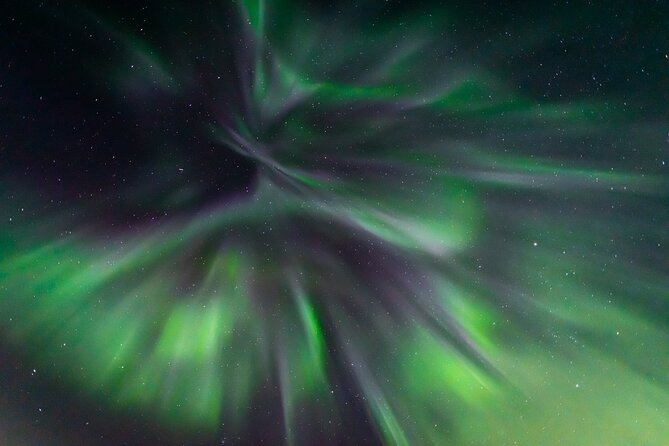 Northern Lights Hunting with a photographer (Only small groups) - Waiting under the Finnish night sky