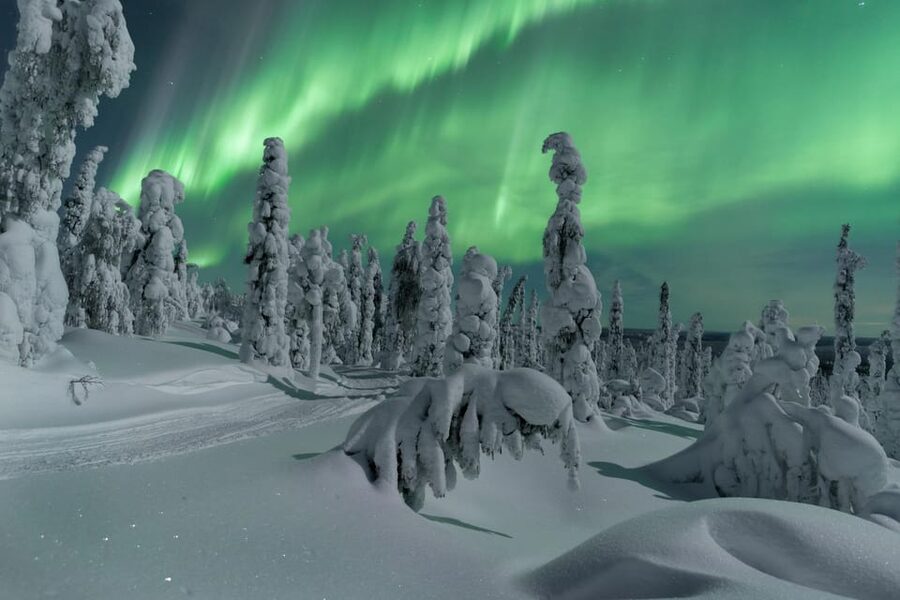 Northern Lights Hunting with Aurora Workshop - Starting at Xwander Basecamp in Ivalo