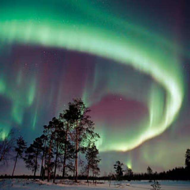 Northern Lights Hunting with Aurora Workshop - Who will enjoy this most