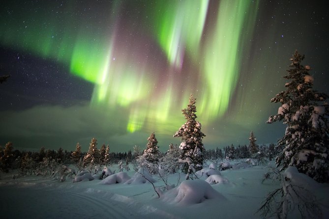 Northern Lights Hunting with Snowmobiles - Riding through Rovaniemi after dark
