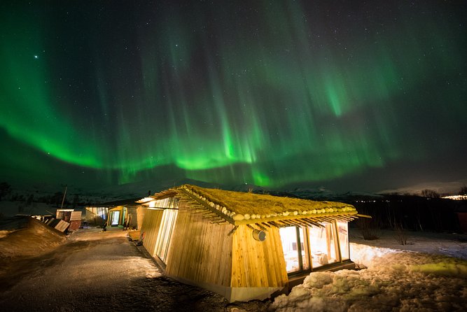 Northern Lights Husky Visit - Bacalao, chocolate cake, and the open fire
