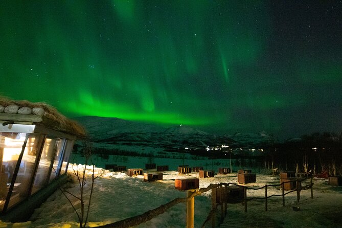 Northern Lights Husky Visit - Booking details that matter