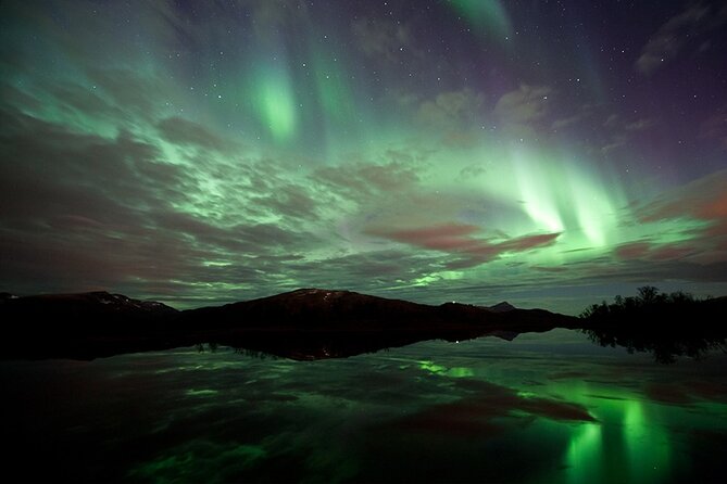 Northern Lights Husky Visit - FAQ