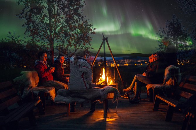 Northern Lights Husky Visit - Learning how the aurora works