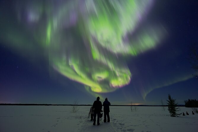 Northern Lights Lodge & Chase Tour from Fairbanks - Leaving Fairbanks for a darker sky