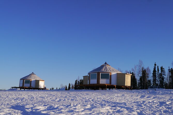 Northern Lights Lodge Viewing in Fairbanks - Key points to know before booking