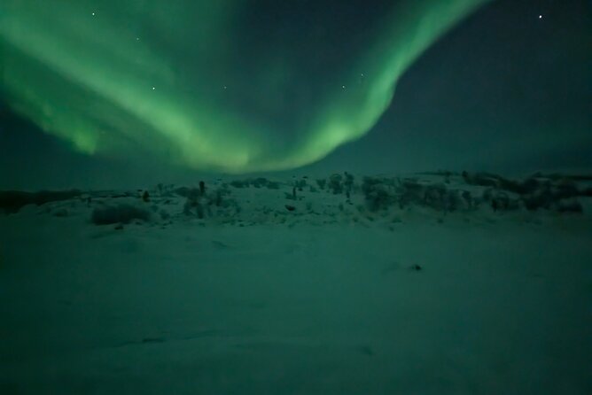 Northern Lights Minibus Chase Max 16 Person In Group - Chasing the aurora from Alta at 8 pm