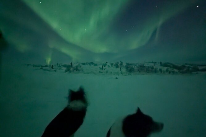 Northern Lights Minibus Chase Max 16 Person In Group - The minibus promise and the large-bus risk