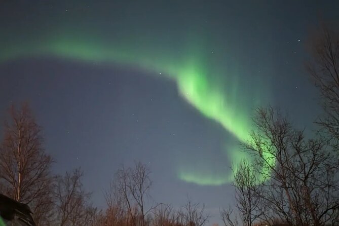 Northern Lights Minibus Chase Max 16 Person In Group - Hot drinks, pastries, and Arctic cold