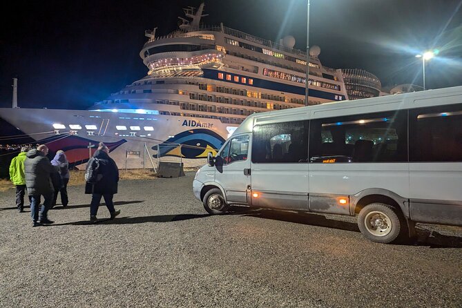 Northern Lights Minibus Chase Max 16 Person In Group - Who should choose this Alta tour