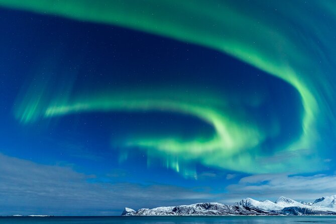 Northern Lights Minibus with Photos Dinner Warm suits - Watching the aurora with a guide