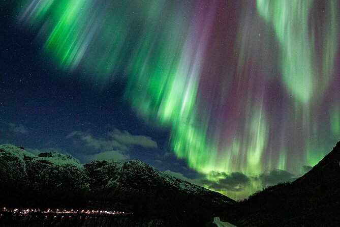 Northern Lights Minibus with Photos Dinner Warm suits - Who will enjoy this Arctic night most?