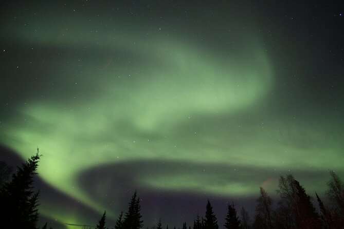 Northern Lights Murphy Dome Viewing in Fairbanks - Guides can make or break the night
