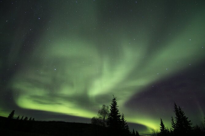 Northern Lights Murphy Dome Viewing in Fairbanks - Hot drinks, camera help, and the small-group advantage