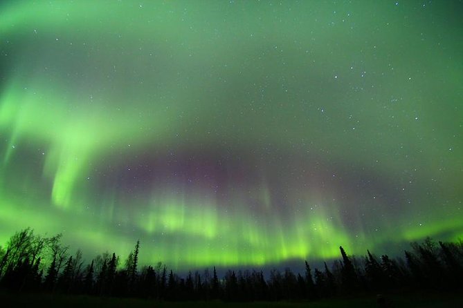 Northern Lights Murphy Dome Viewing in Fairbanks - The van is your only shelter