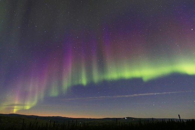 Northern Lights Murphy Dome Viewing in Fairbanks - Who should book this tour