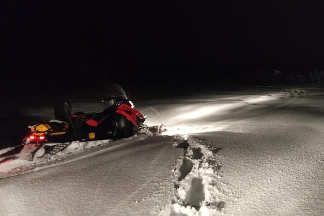 Northern Lights Night by Snowmobile (private tour) - What the guide adds to the ride