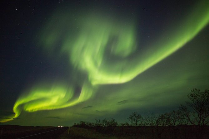 Northern Lights Night Tour from Reykjavik - How the nightly search works