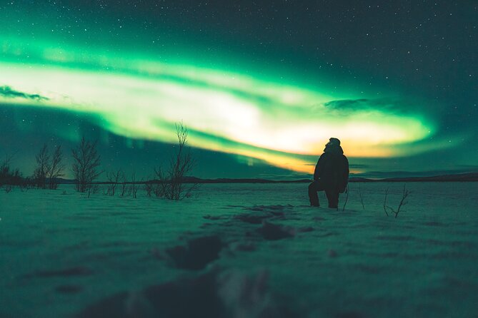 Northern Lights Photo Expedition Dinner Included from Abisko - Warm clothing and a Sami-style break