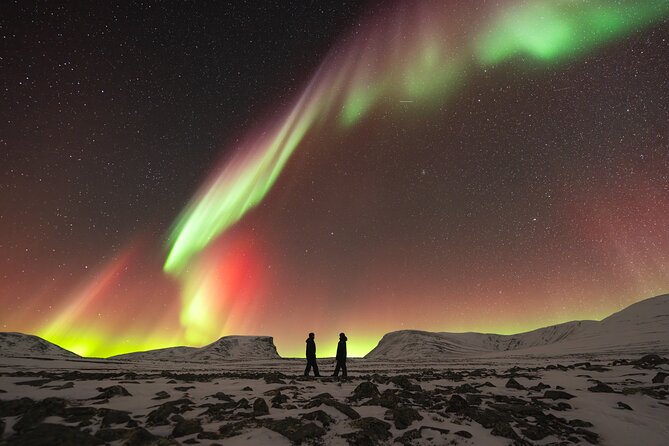 Northern Lights Photo Expedition Dinner Included from Abisko - Is $235.33 a fair price?