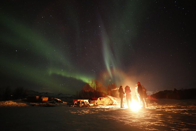Northern Lights Photography Tour - BBQ snacks, hot drinks, and winter comfort