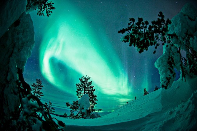 Northern Lights Photography Tour from Rovaniemi - How the $213 Price Works Out