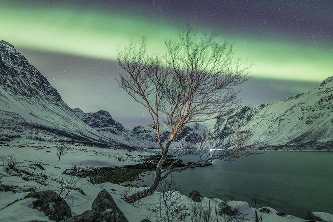Northern Lights Private tour with your special ones - Greenlander - The chase toward clear skies