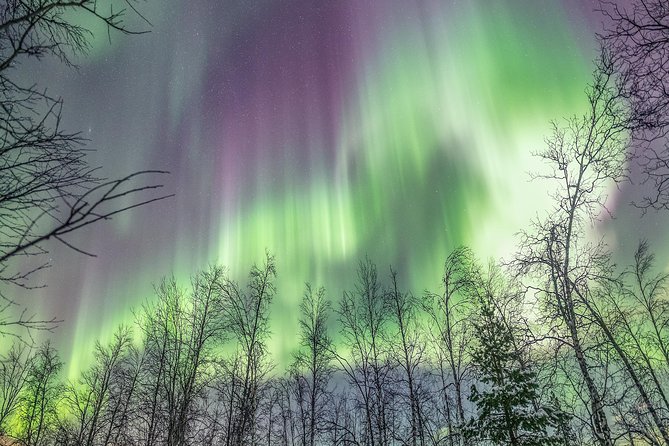 Northern Lights Private tour with your special ones - Greenlander - Booking, weather, and cancellation details