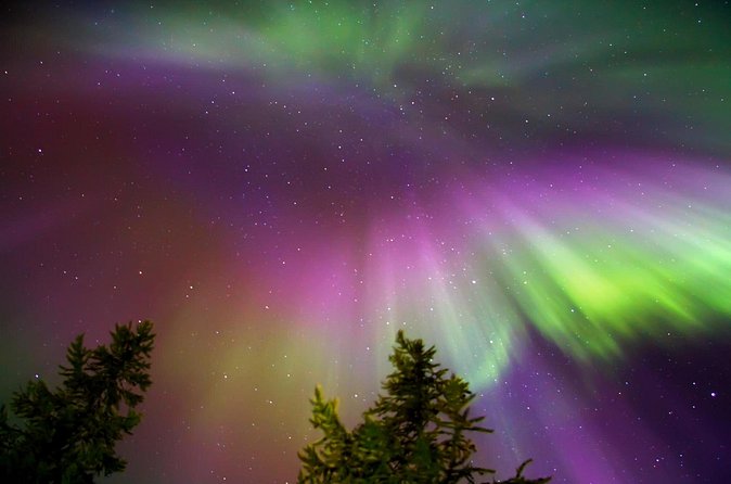 Northern Lights Reindeer Sledge Ride - Who will enjoy this outing most