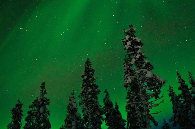 Northern Lights Reindeer Sledge Ride - Practical planning for your evening