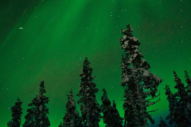 Northern Lights Reindeer Sledge Ride - The 20-minute reindeer sleigh ride