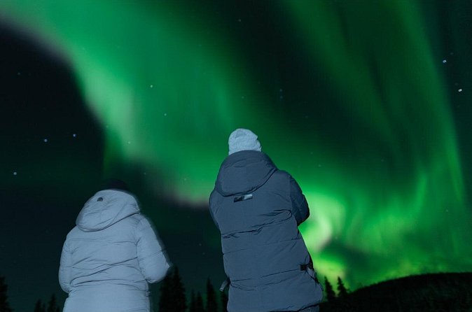 Northern Lights Rovaniemi: Guaranteed Tour with Local Guide - Winter clothing is your responsibility
