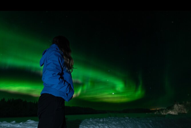 Northern Lights Rovaniemi: Guaranteed Tour with Local Guide - What the local guide adds