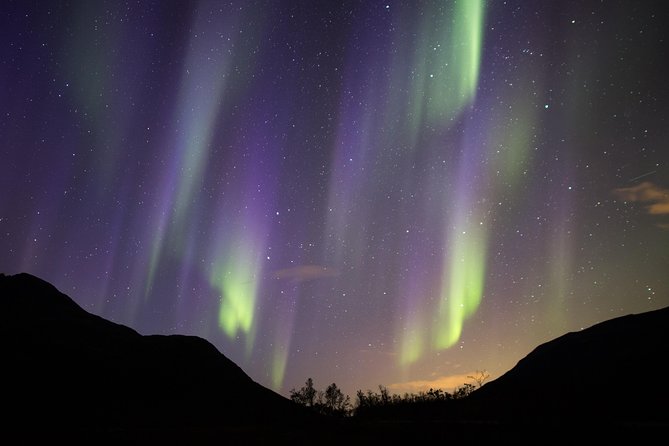 Northern Lights Safari from Tromso - What happens during a typical stop