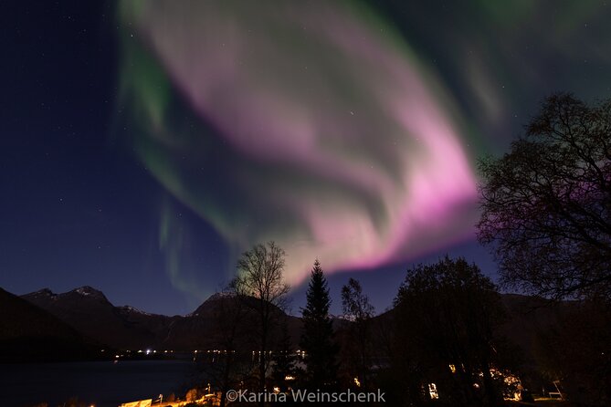 Northern Lights Safari from Tromso - Price, included extras, and overall value