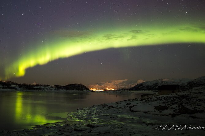 Northern Lights Safari from Tromso - Who should book this northern lights safari