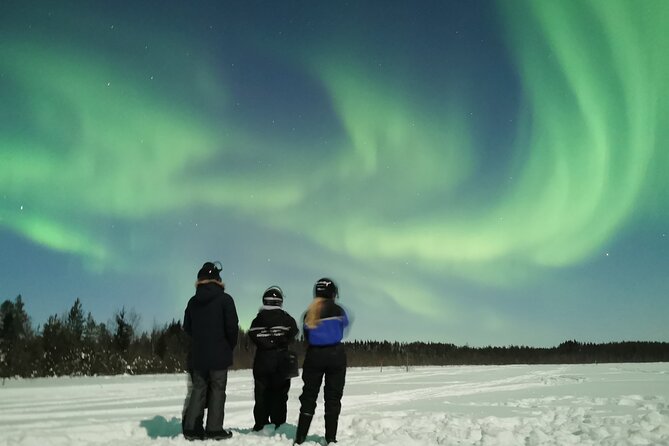 Northern Lights Sledge Ride - The aurora hunt and the limits of the forecast