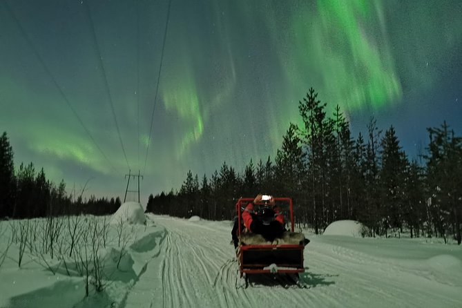 Northern Lights Sledge Ride - The wilderness stop, fire, and warm drink