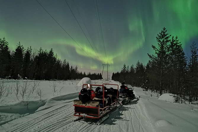 Northern Lights Sledge Ride - How much value do you get for $92.52?